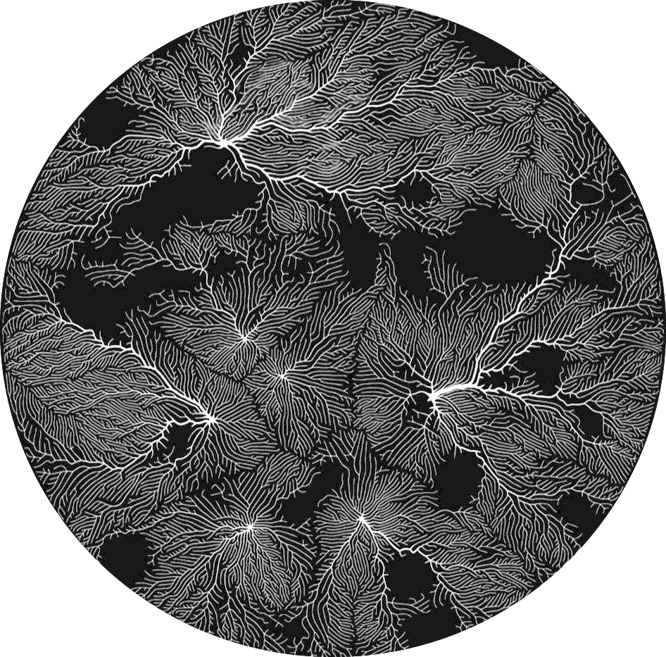 The Unworlding Collaboratory